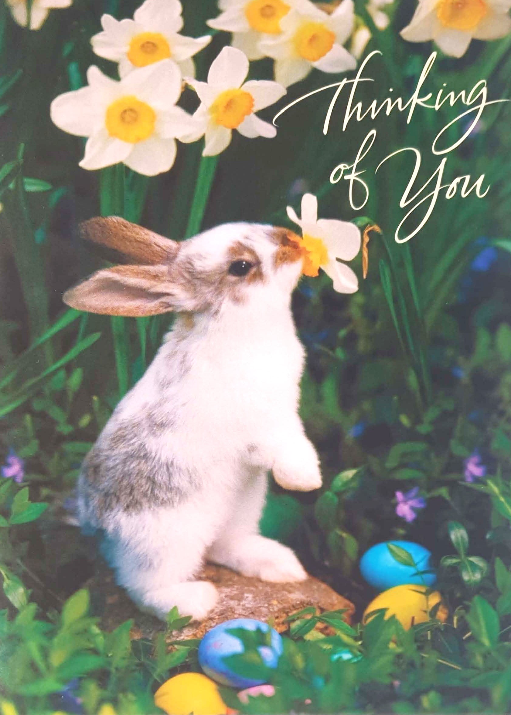 Thinking of You Easter Card