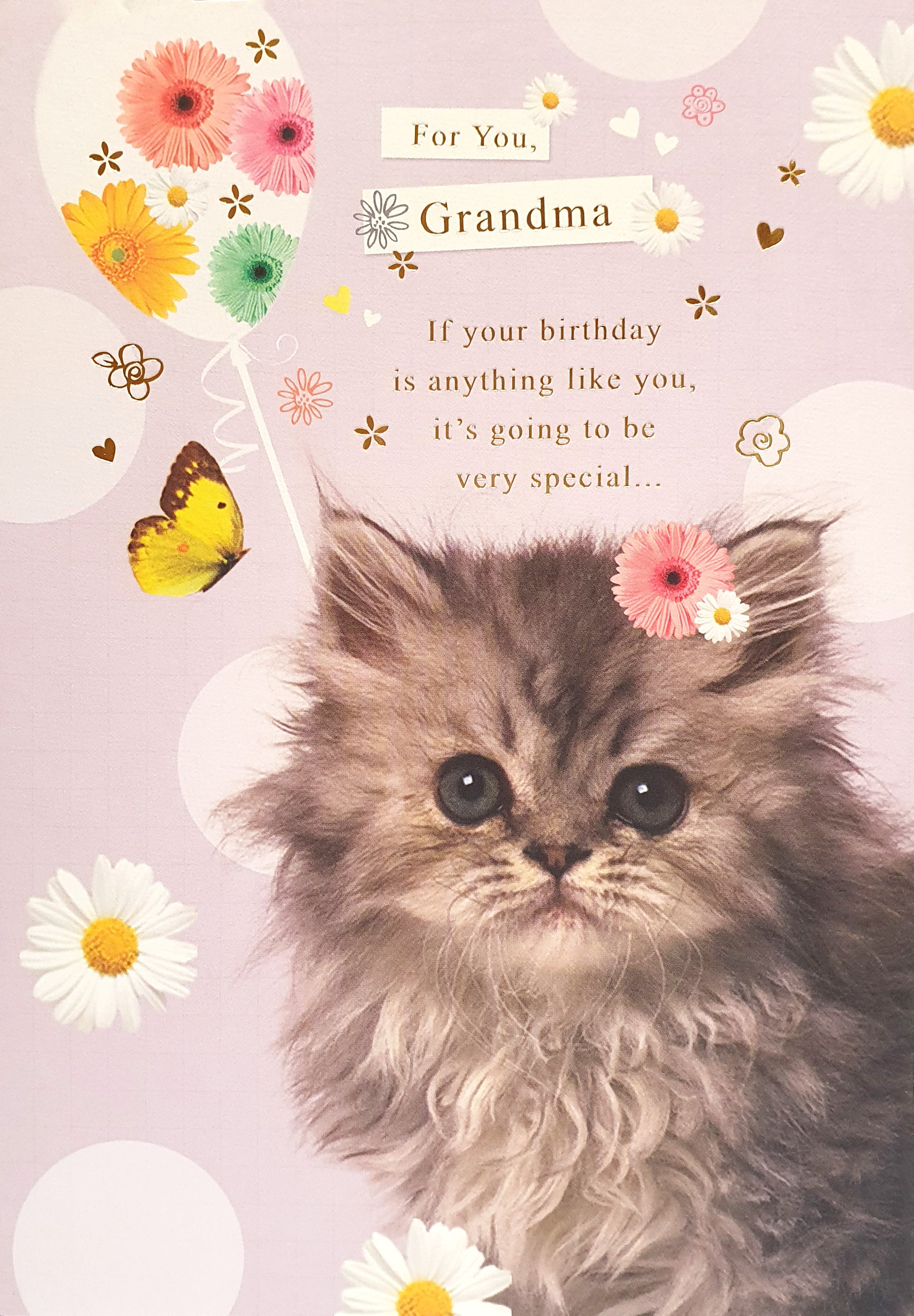 Grandma Birthday Card - Whiskers and Wishes