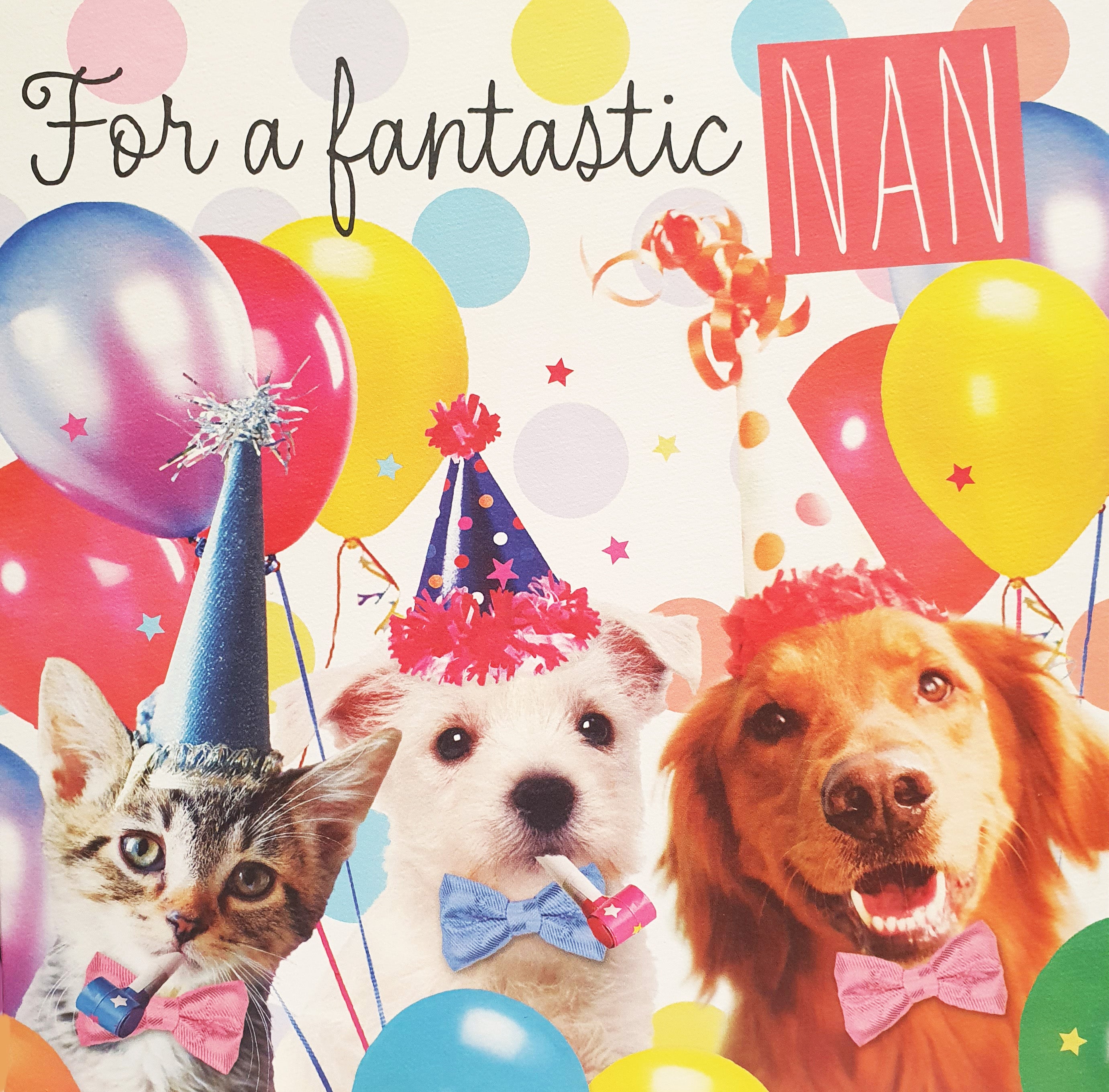 Nan Birthday Card - Pet Celebs