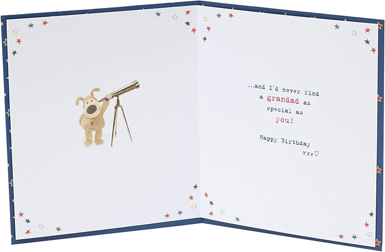 Grandad Birthday Card - Boofle Says You Are One Of A kind