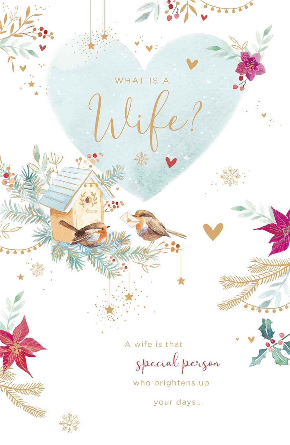 Wife Christmas Card - Robins Exchanging a Card