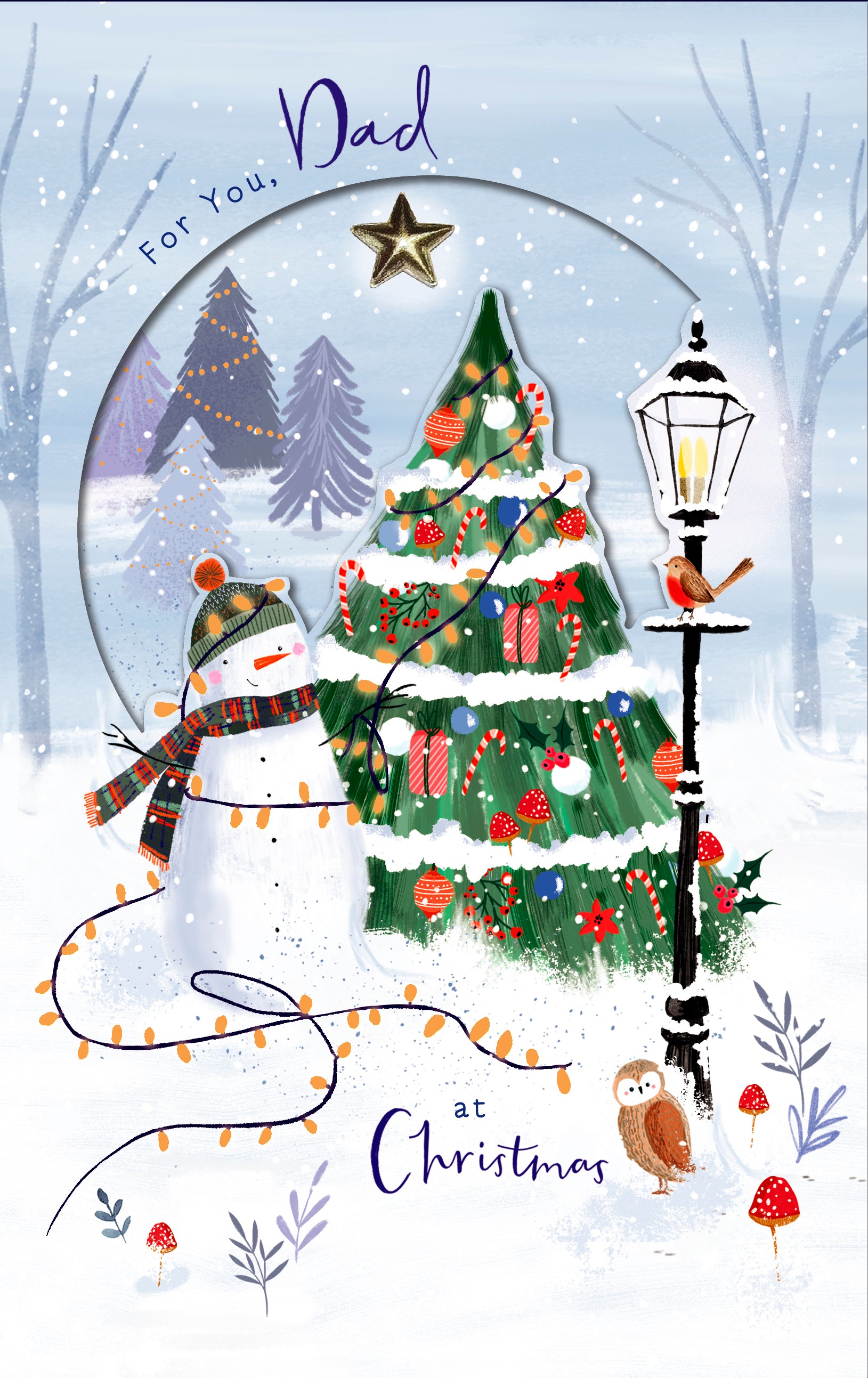 3D Dad Christmas Card - Snowman and Winters Day