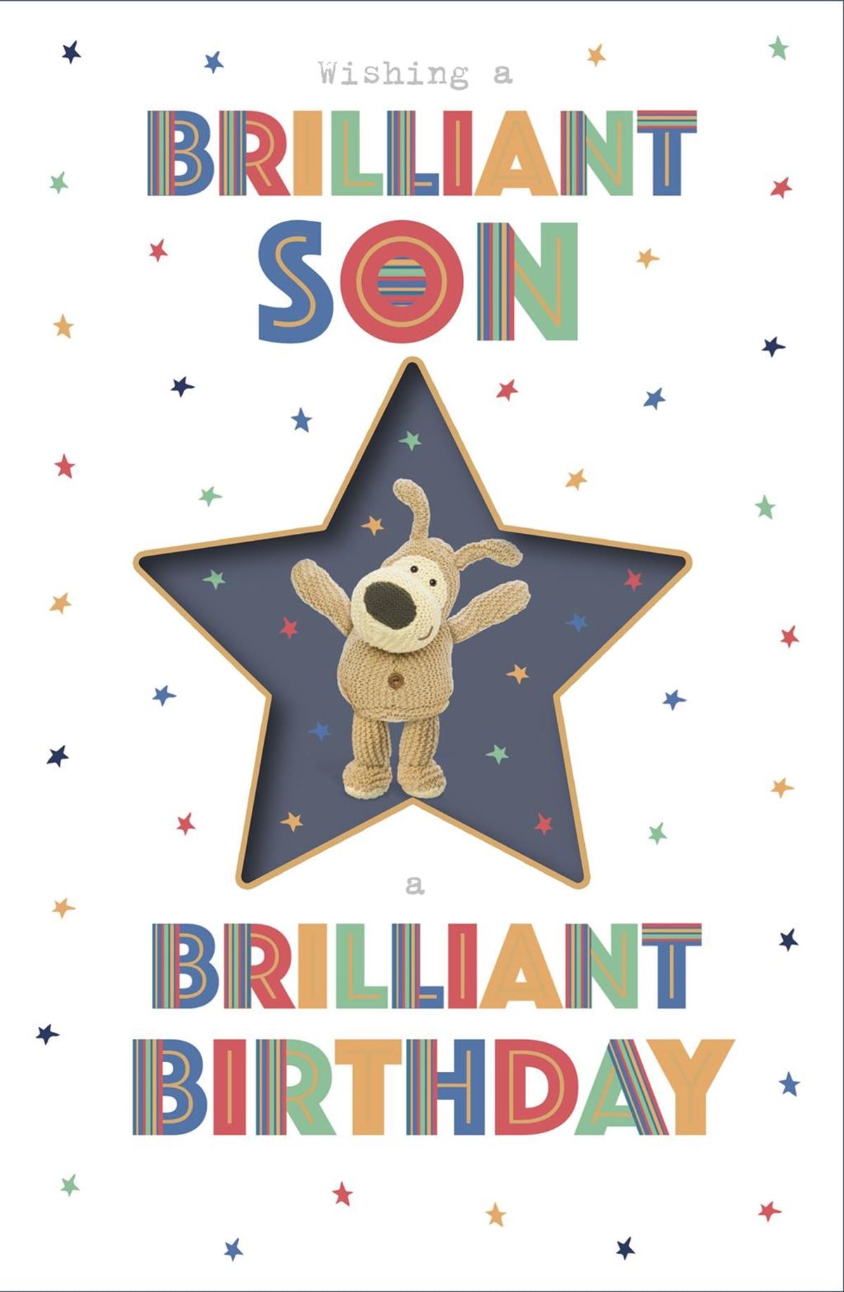 Wishing a Brilliant Son Birthday Card - Boofle