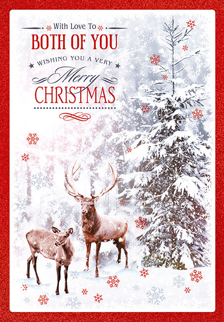 Both Of You Wishing You A Very Christmas Card