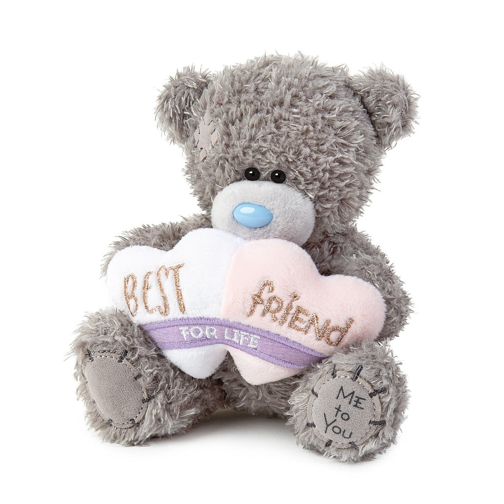 5" Best Friends For Life Me to You Bear