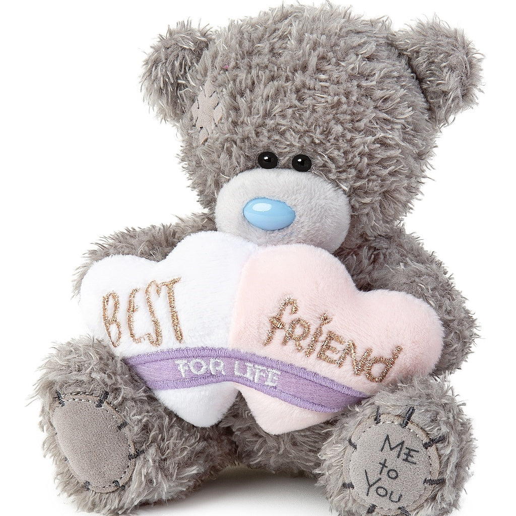 5" Best Friends For Life Me to You Bear