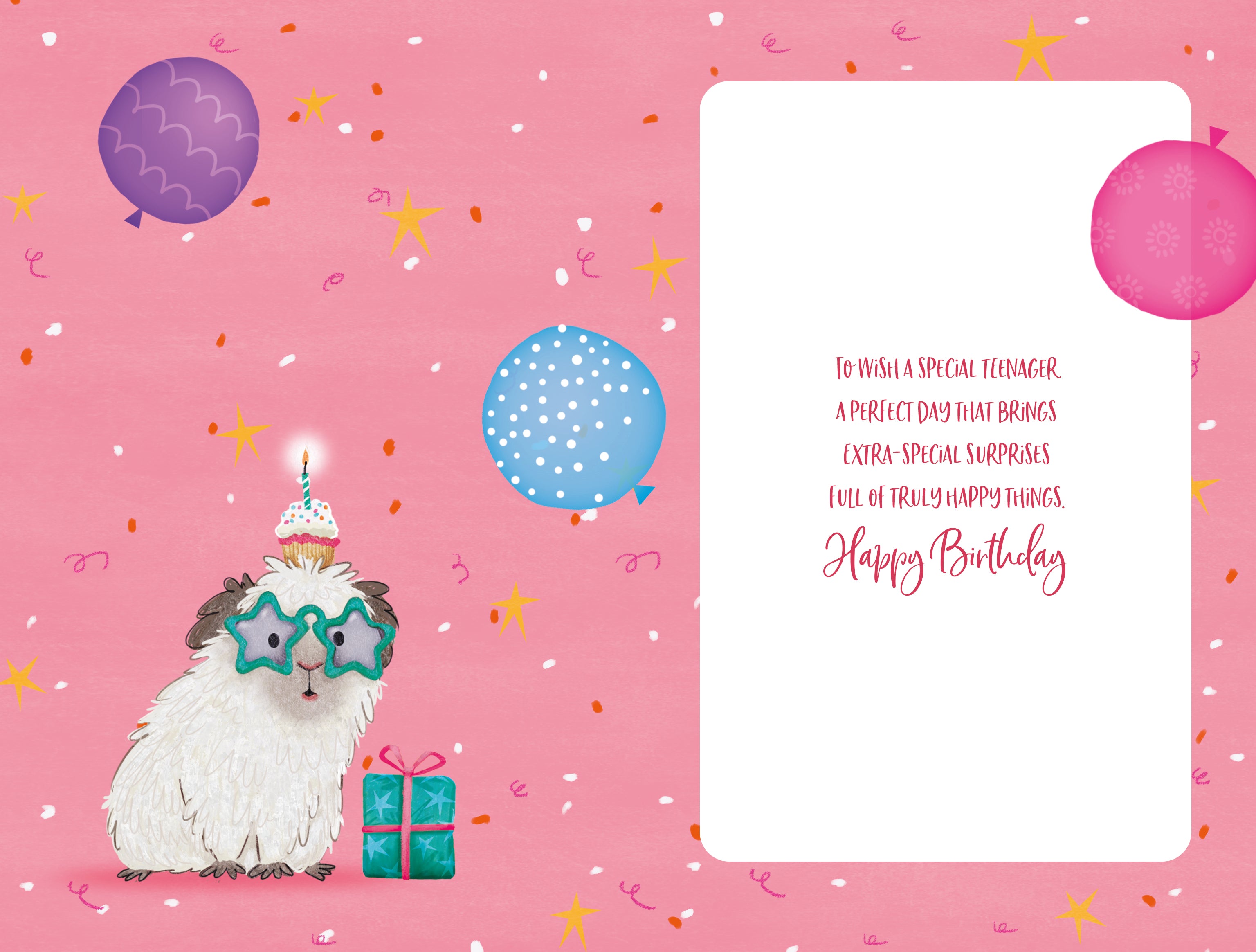 13th Birthday Girl Card - Guinea Pigs And Balloons