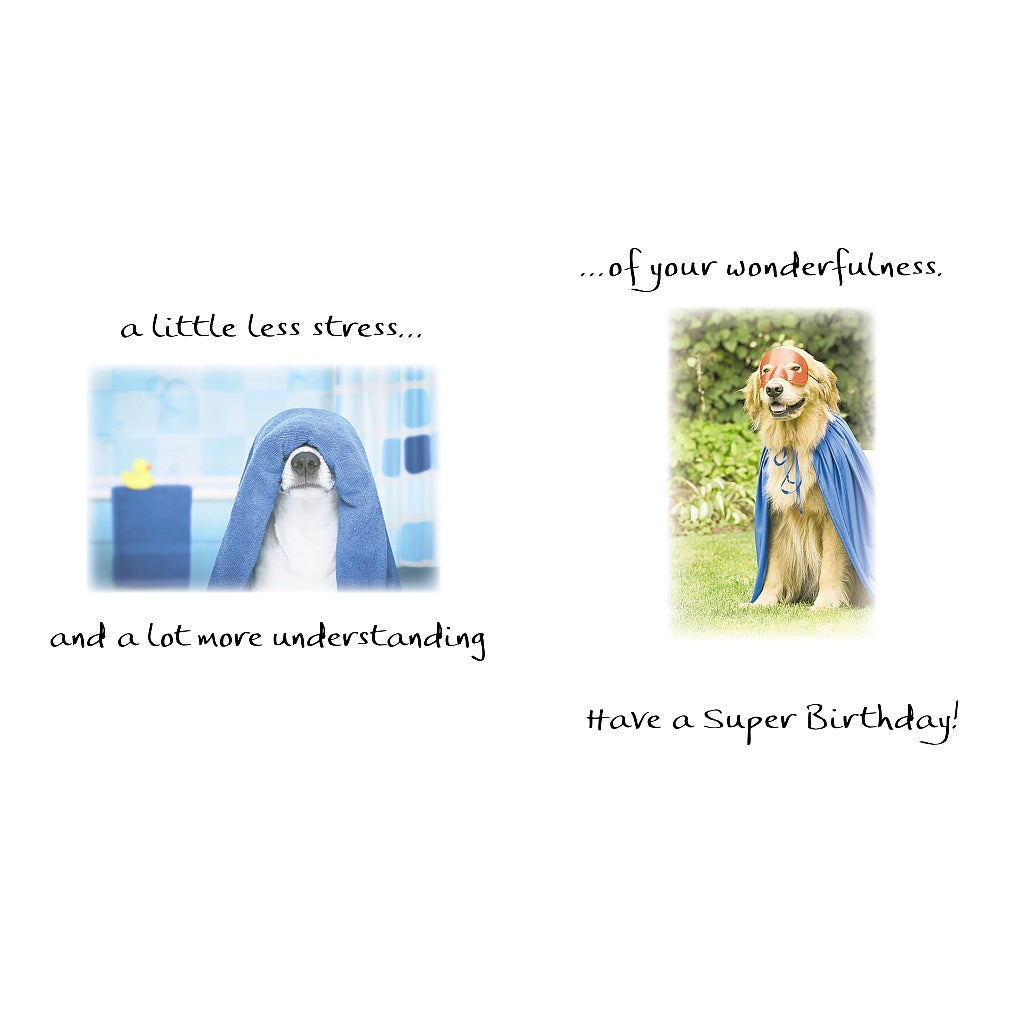 Birthday Card - More Joy, Less Stress and More Understanding of Your Wonderfulness - Blue Mountain Arts