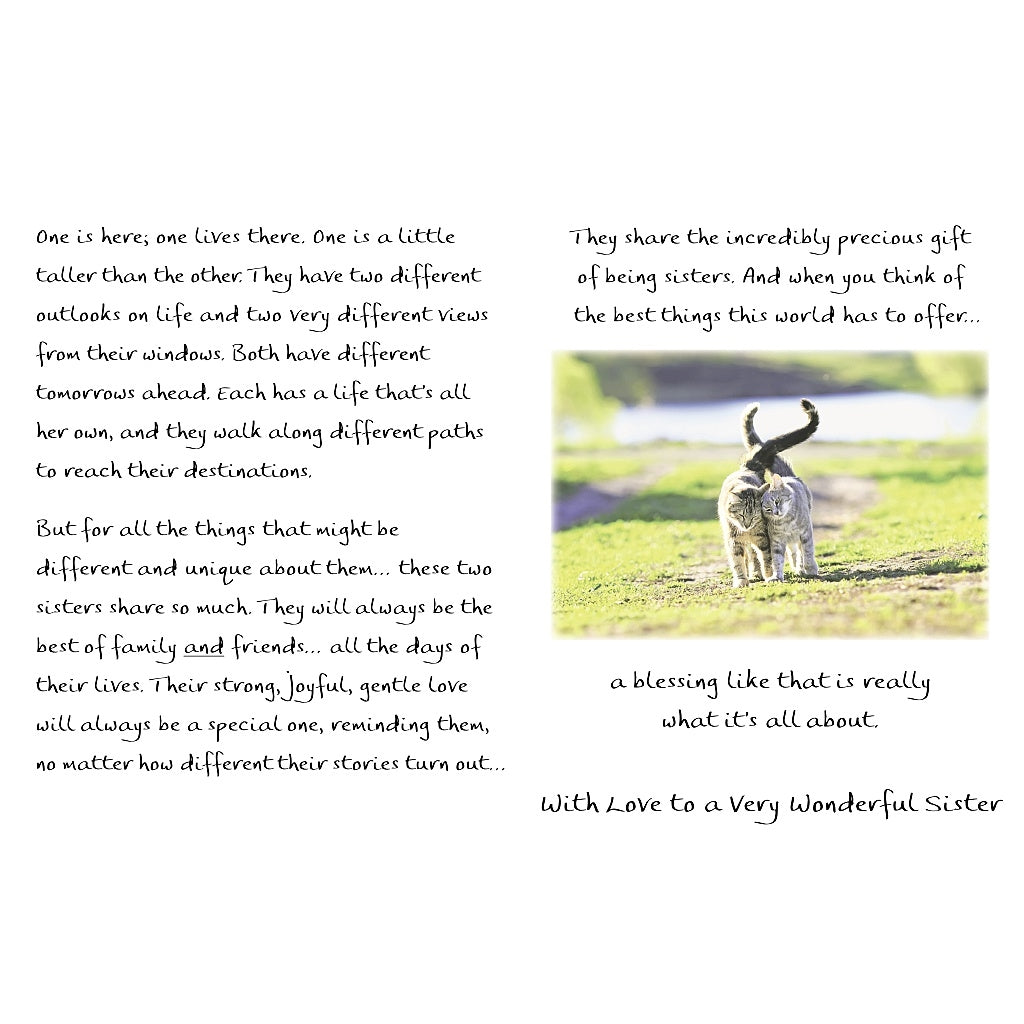 Sisters Thinking of You Card - Finding Lasting Comfort in Loving Memories - Blue Mountain Arts