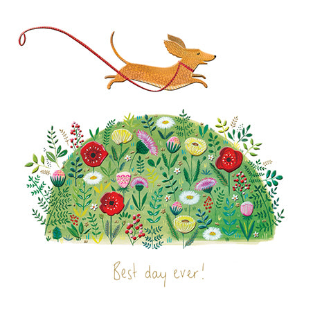 Blank Birthday Card Happy Days