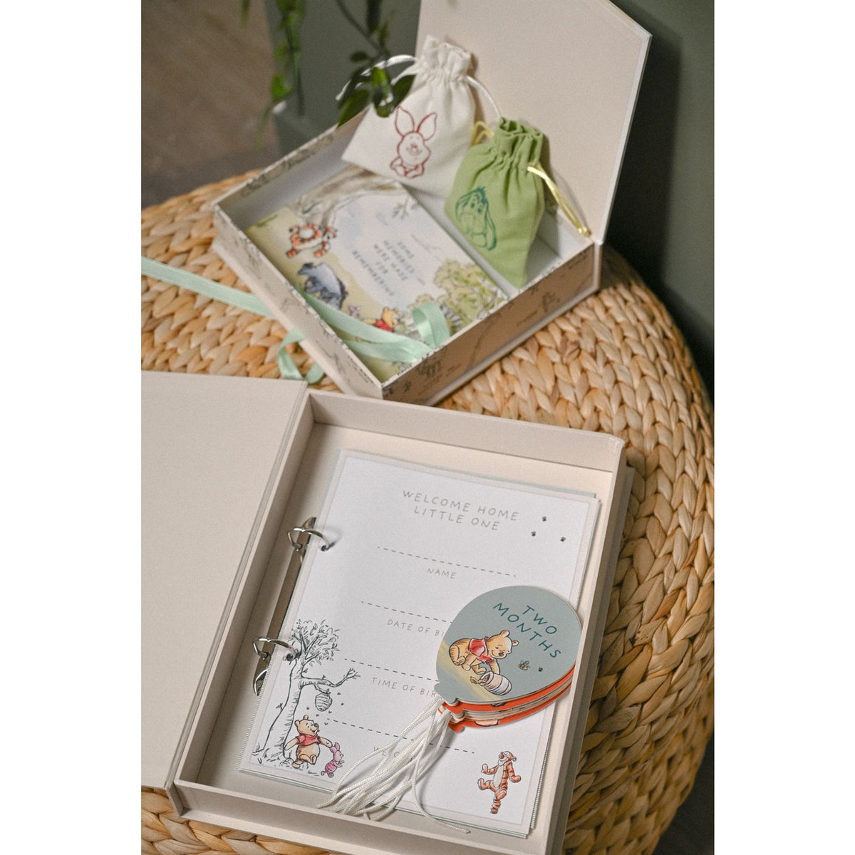Disney Winnie The Pooh Milestone Album with Cards
