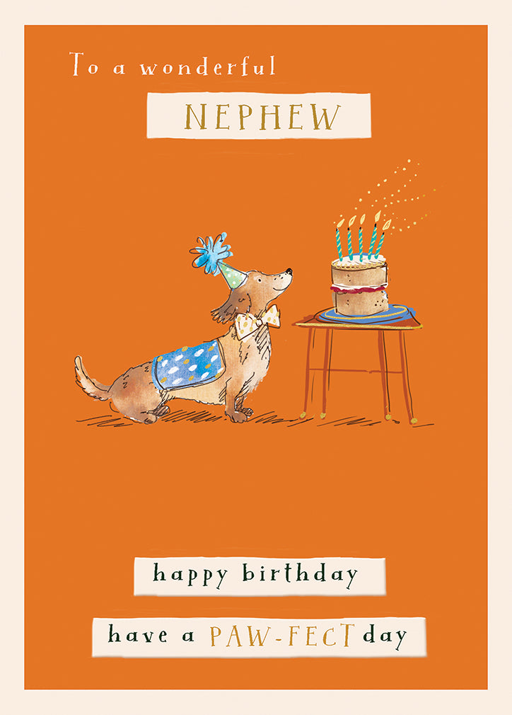 Nephew Birthday Card - Wilf & Alfie