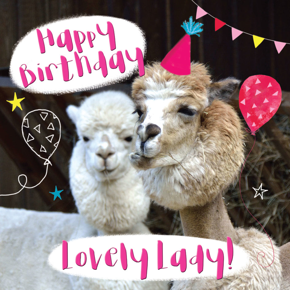 Humour Alpaca Family Beautiful 3D Card