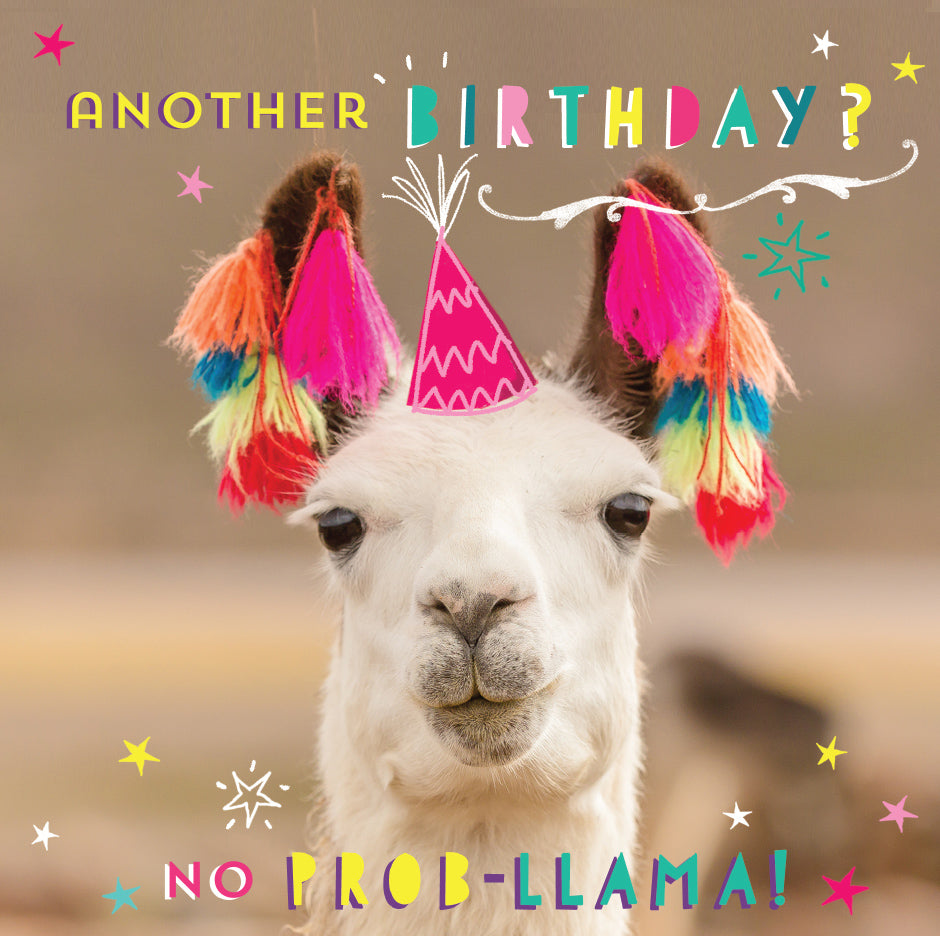 Birthday Card - Llama With  Tassles Beautiful 3D Card