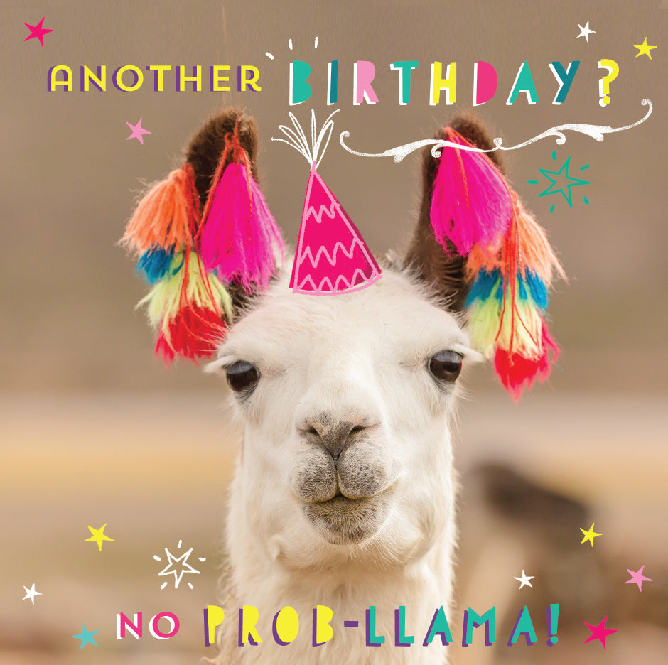 Birthday Card - Llama With Tassles Beautiful 3D Card