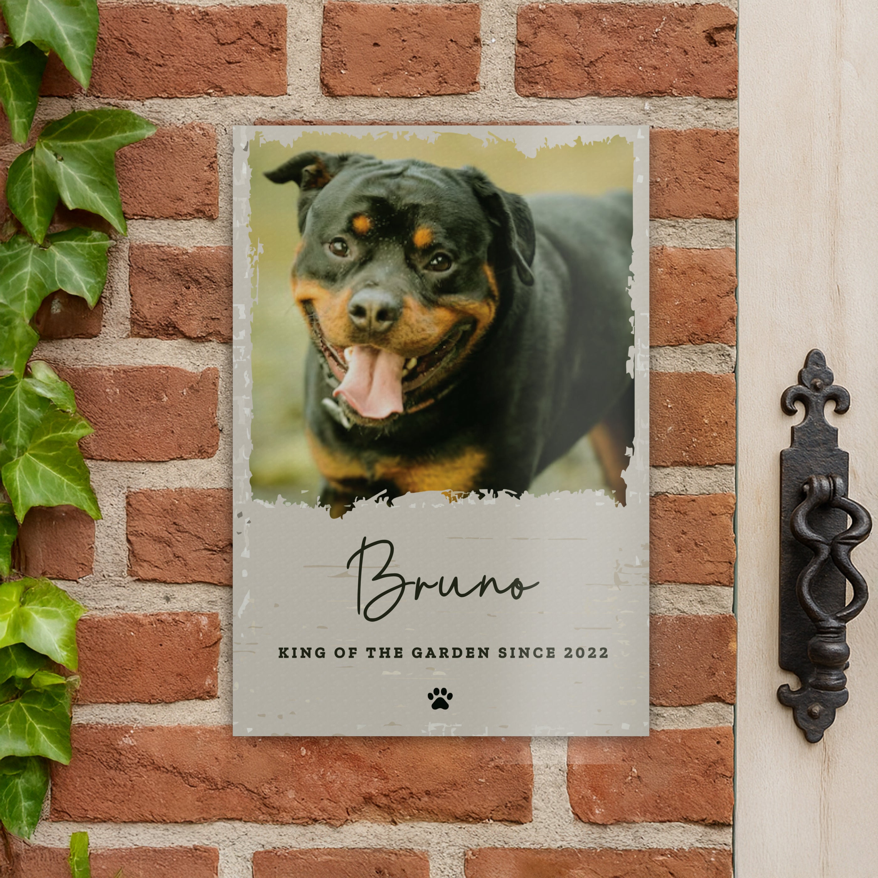 Personalised Photo Upload Pet Aluminium Sign