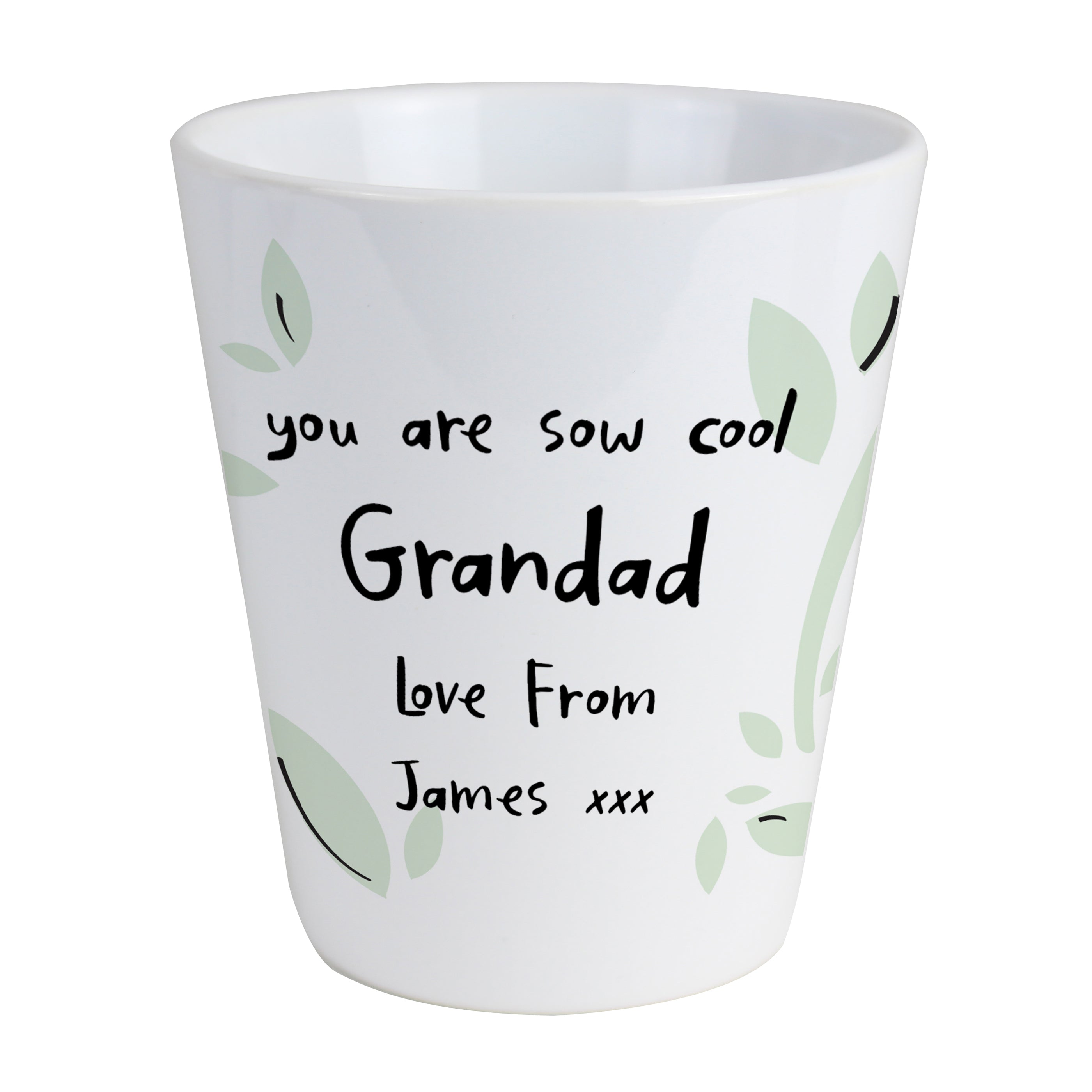 Personalised Free Text Botanical Plant Pot