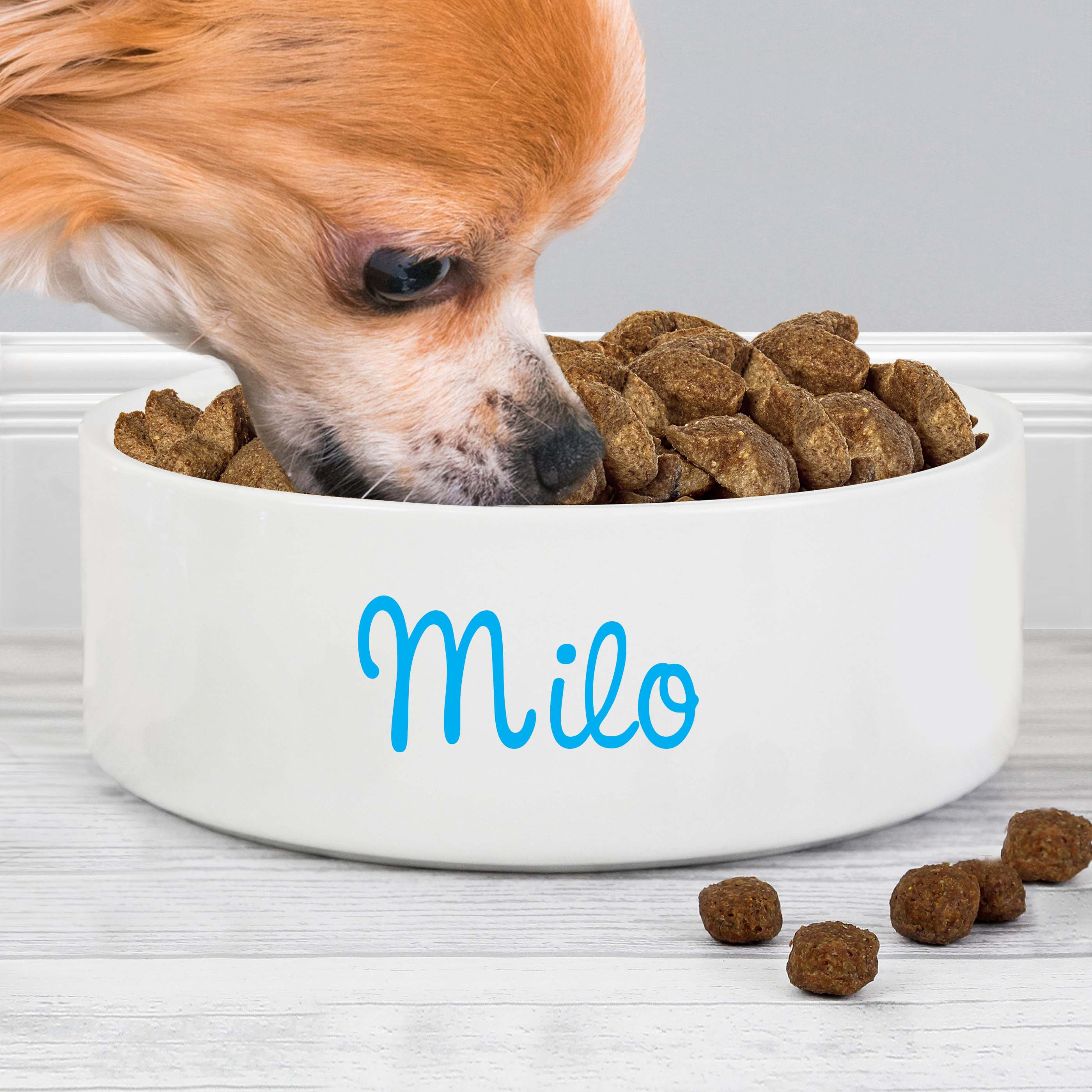Personalised Blue Name 15cm Medium Pet Bowl
