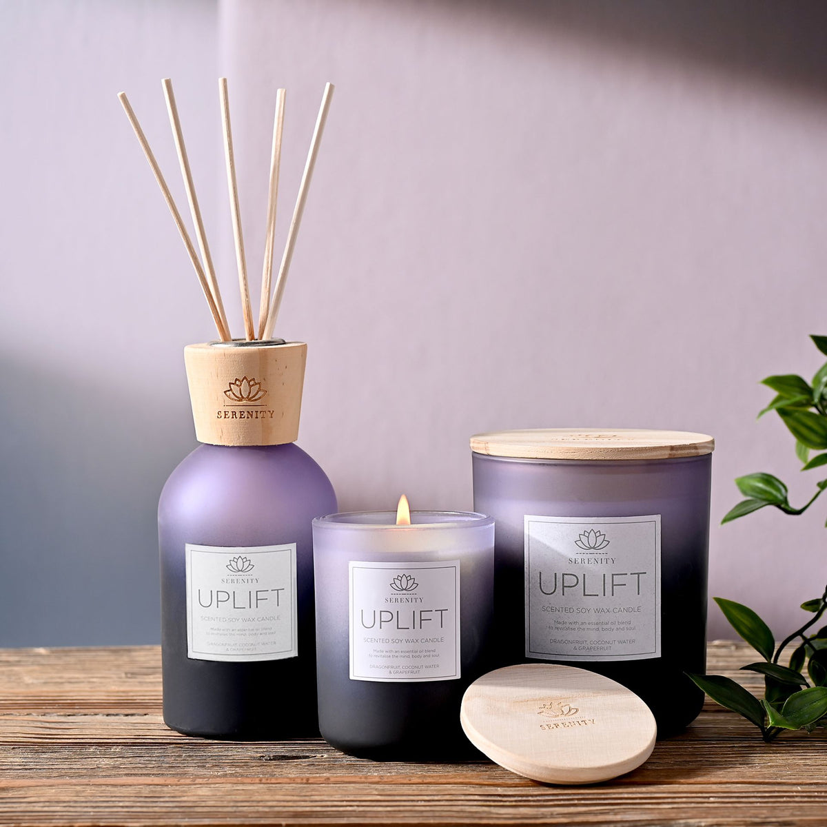 Serenity Uplift Candle 270g Dragonfruit, Coconut, Grapefruit