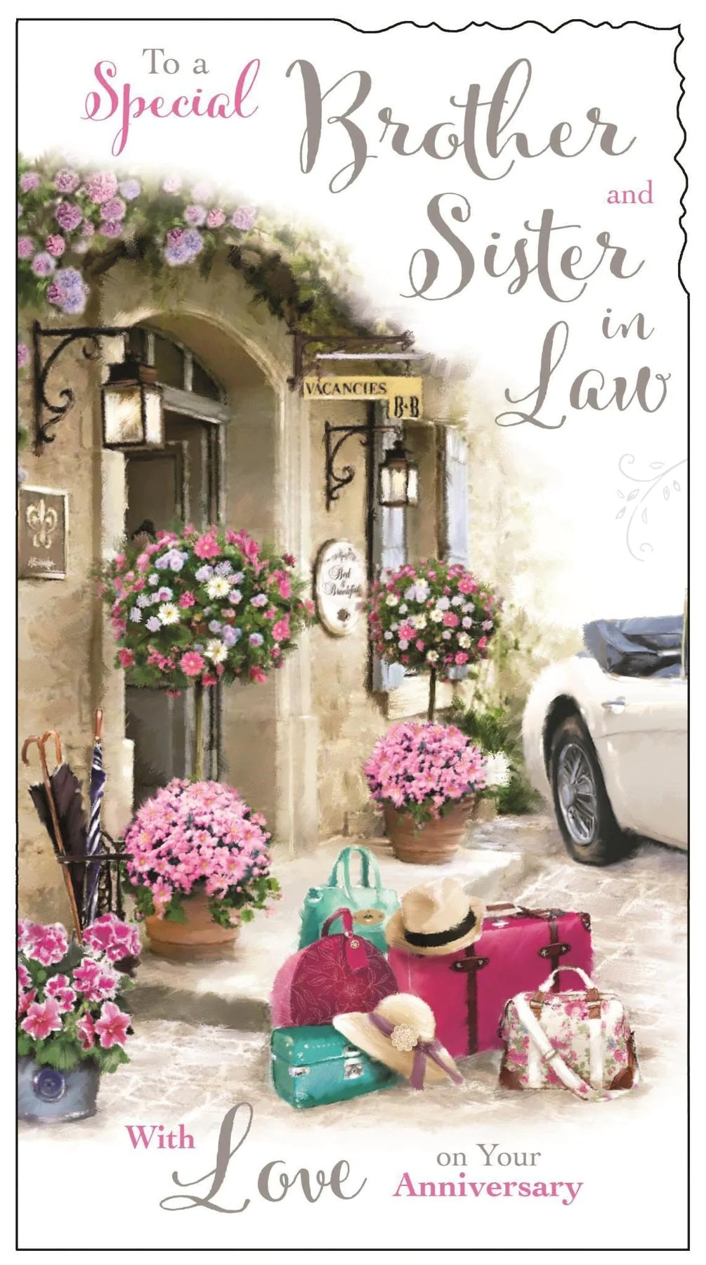 Special Brother and Sister in Law On Your Anniversary Card