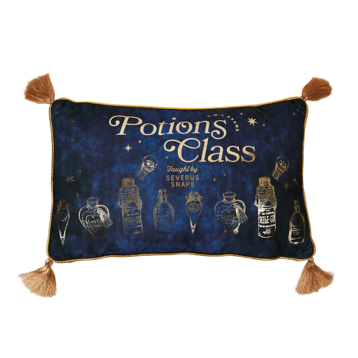 Harry Potter Alumni Velvet Cushion 50 x 30cm - Potions Class
