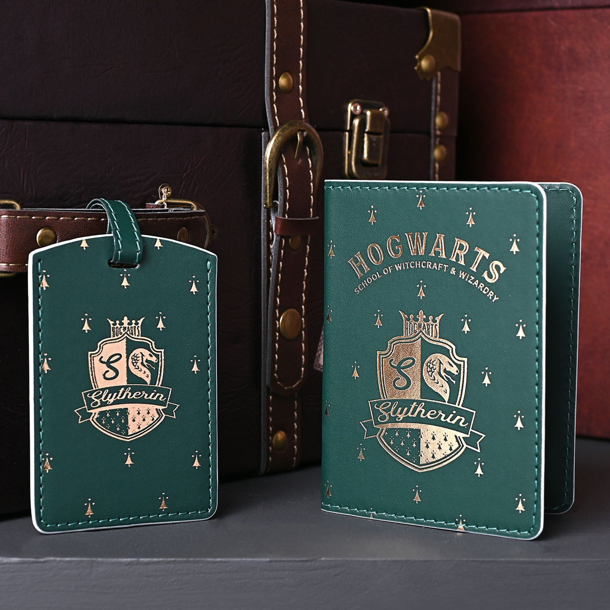 Warner Bros Harry Potter Alumni Passport Holder & Luggage Tag - Slytherin