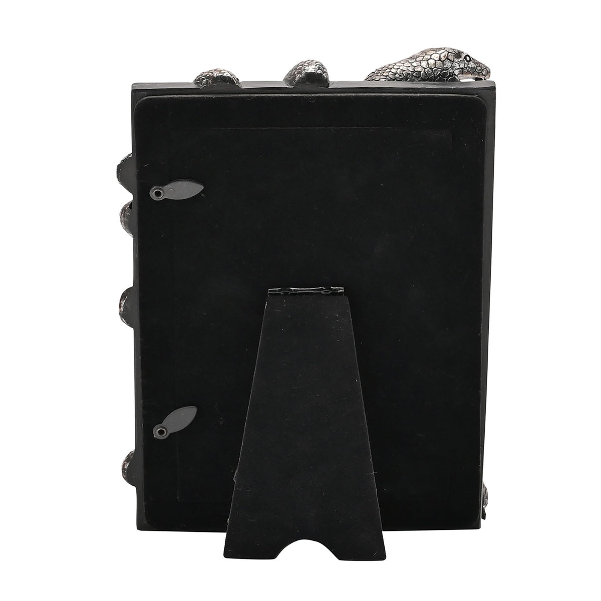 Warner Bros Harry Potter Dark Arts Frame - Nagini