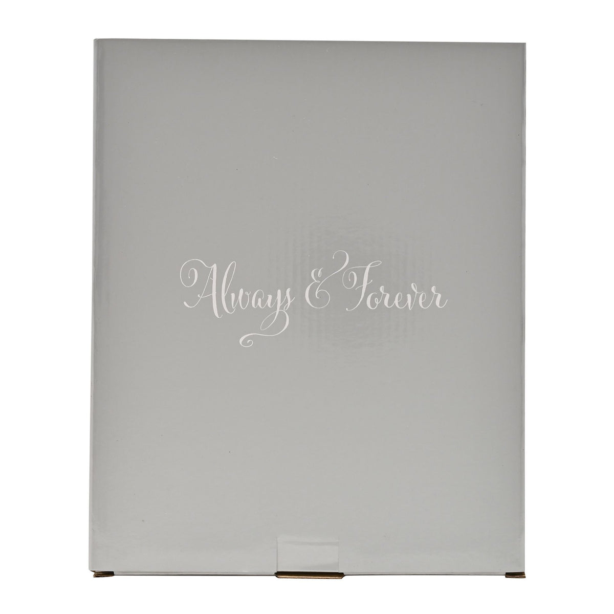 Always & Forever Glass Frame Butterflies 4" x 6"
