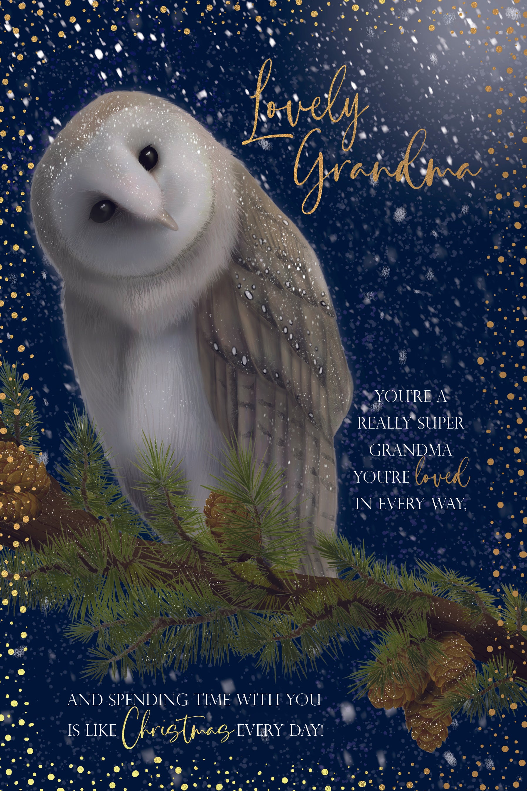 Grandma Christmas Card - Night Owl