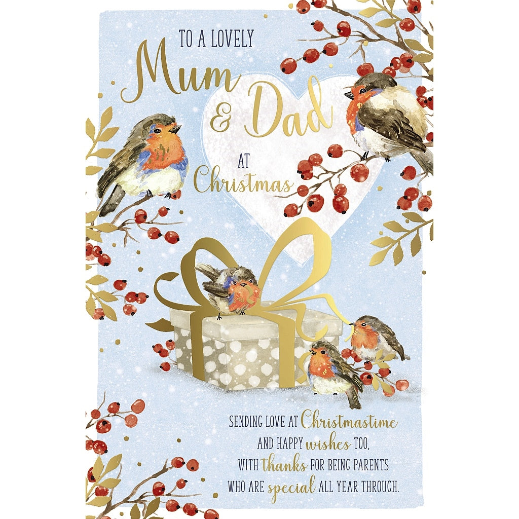Mum And Dad Christmas Card - Robin Family With Present