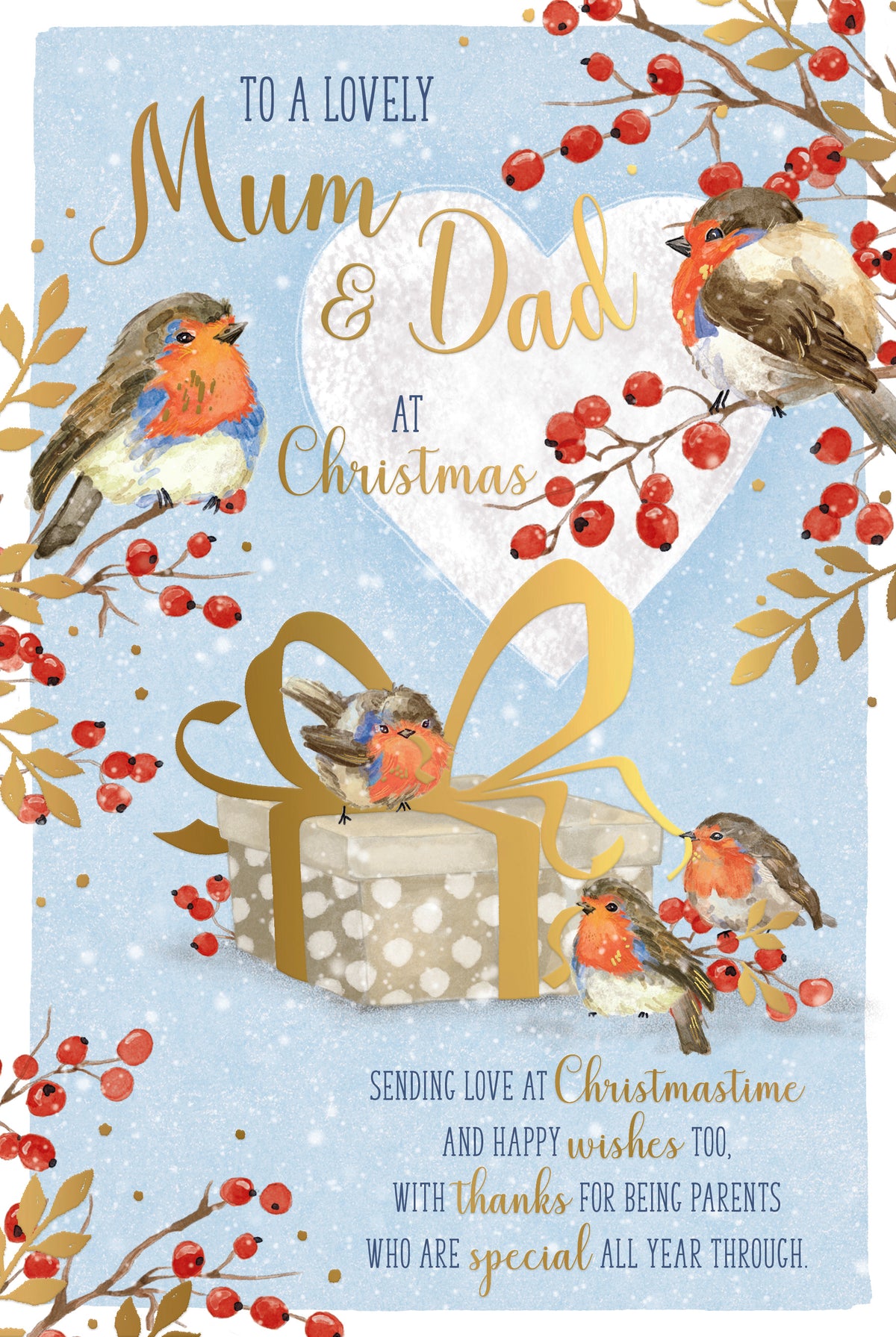 Mum And Dad Christmas Card - Robin Family With Present