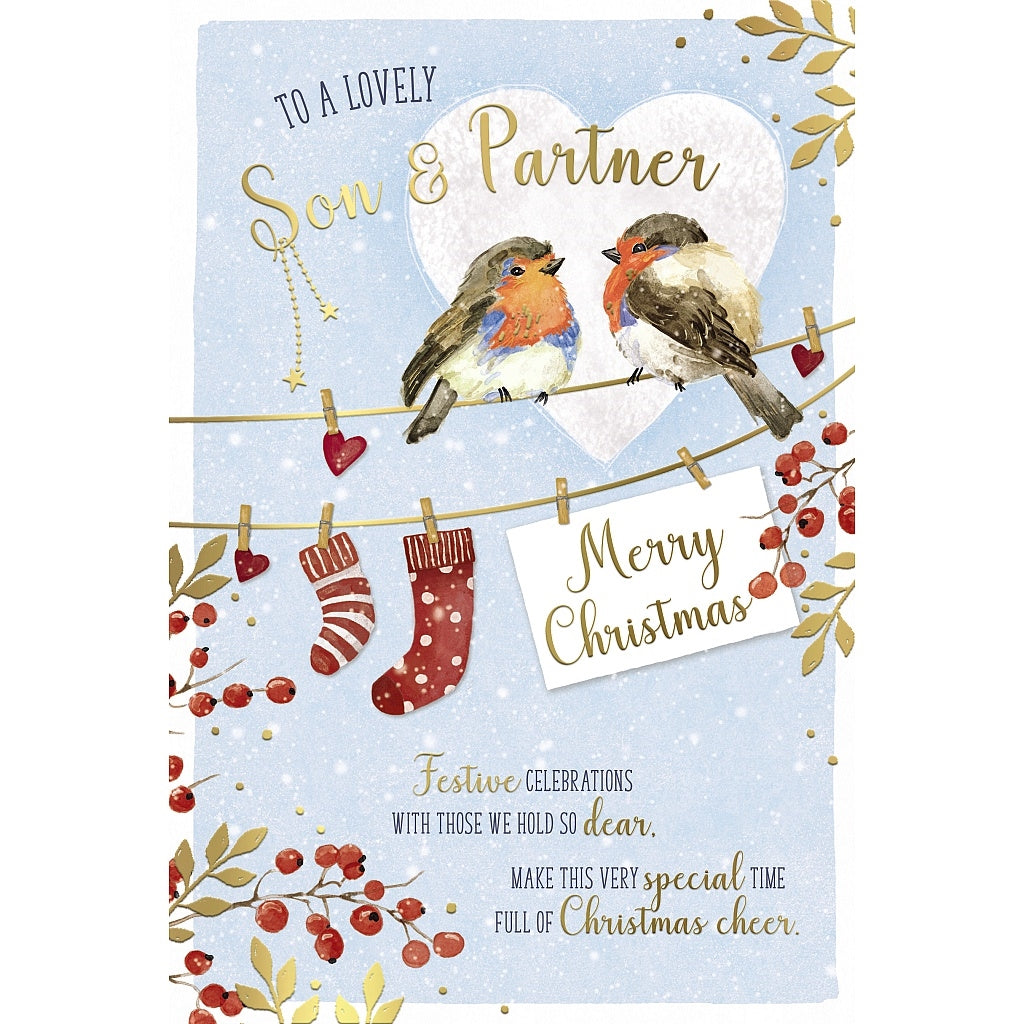 Son And Partner Christmas Card - Robins On Washing Line