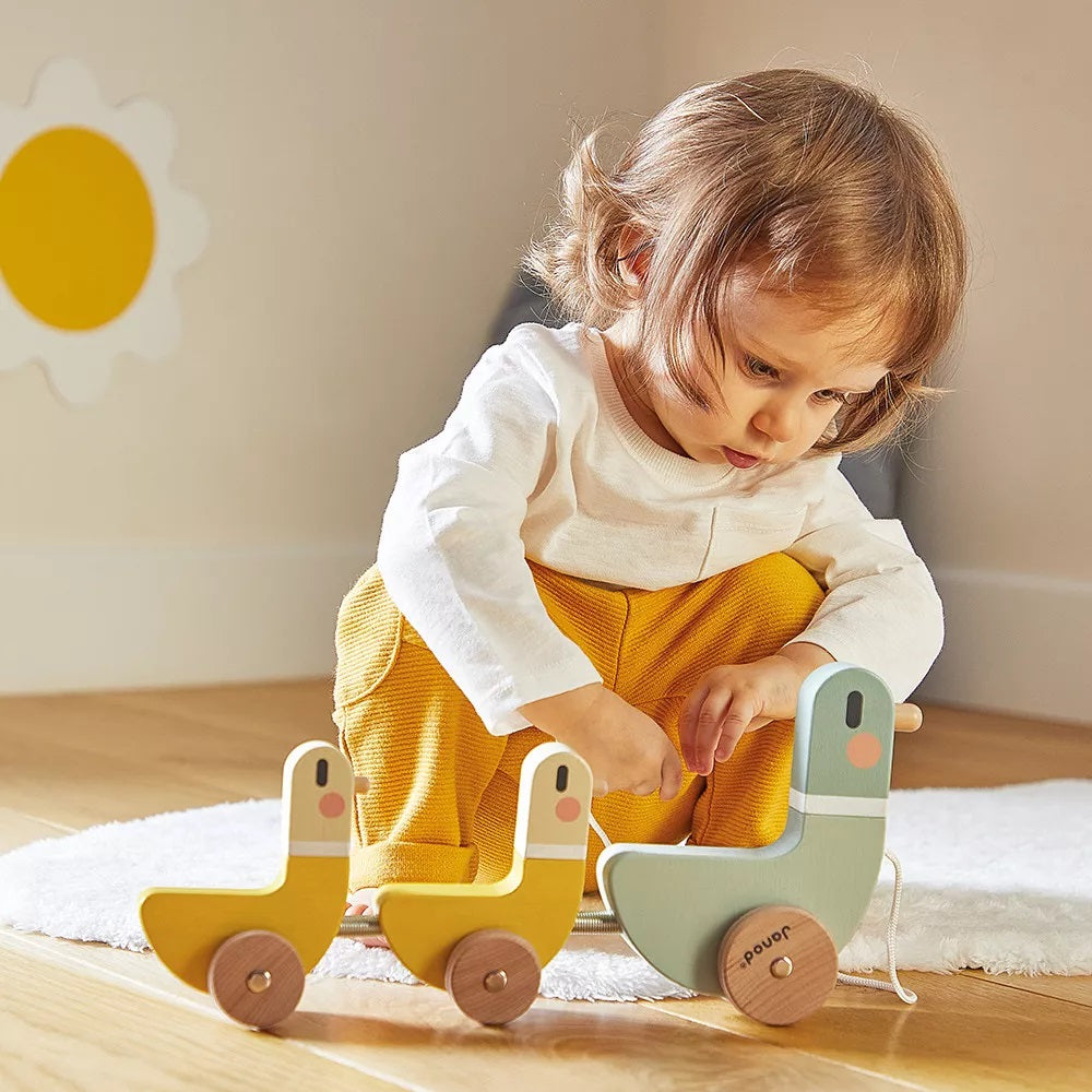 Janod Ducks to Pull Sweet Cocoon - PUSH & PULL TOYS