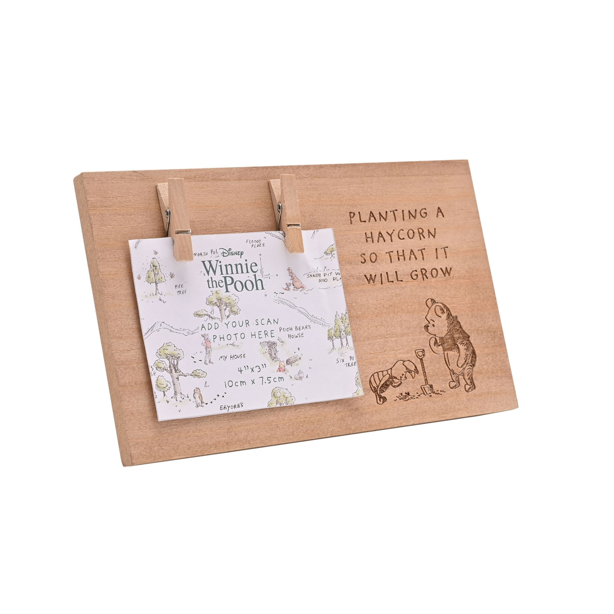 Disney Winnie The Pooh Scan Frame
