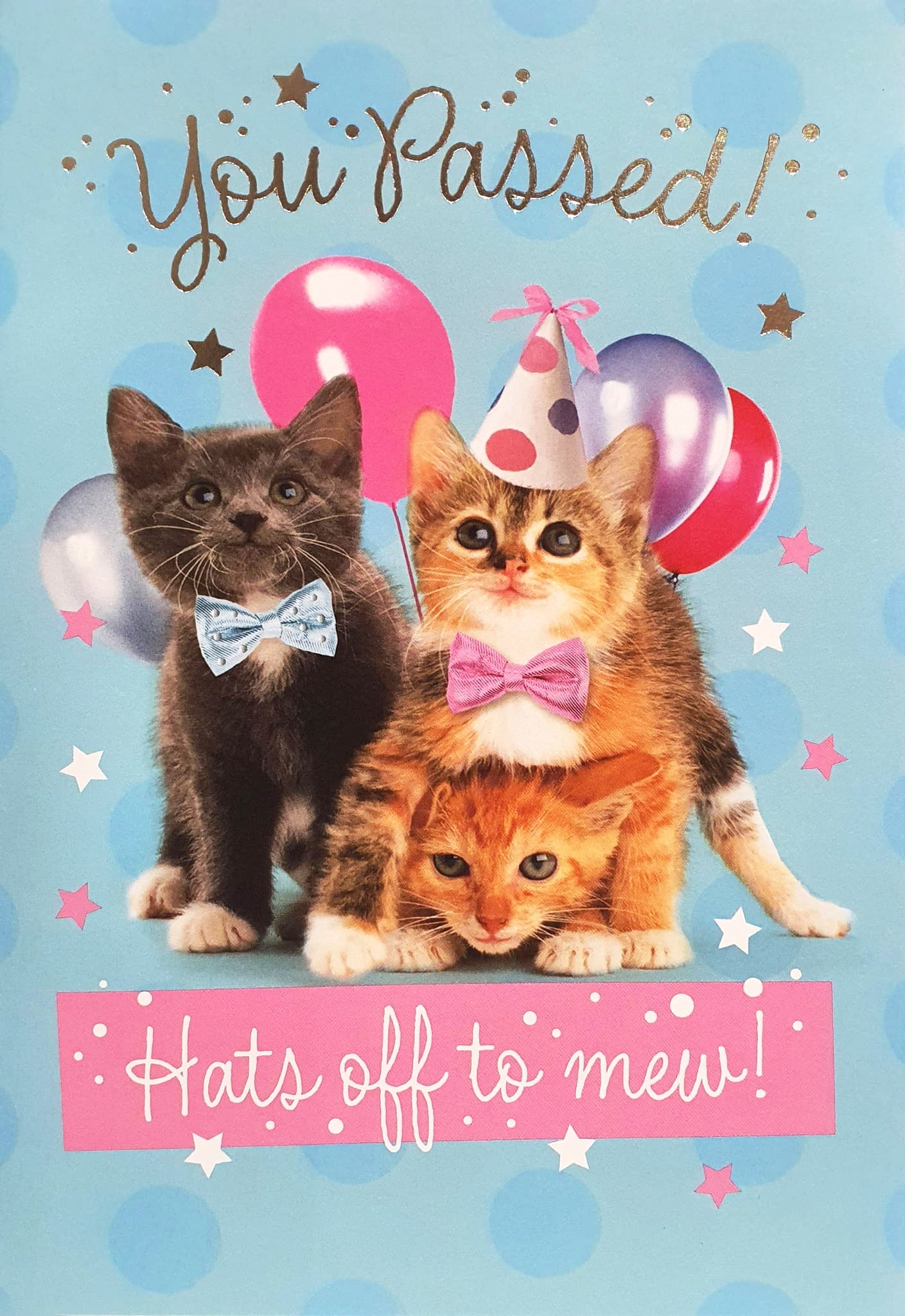 Exam Congratulations Card - Cute Kittens Celebrating