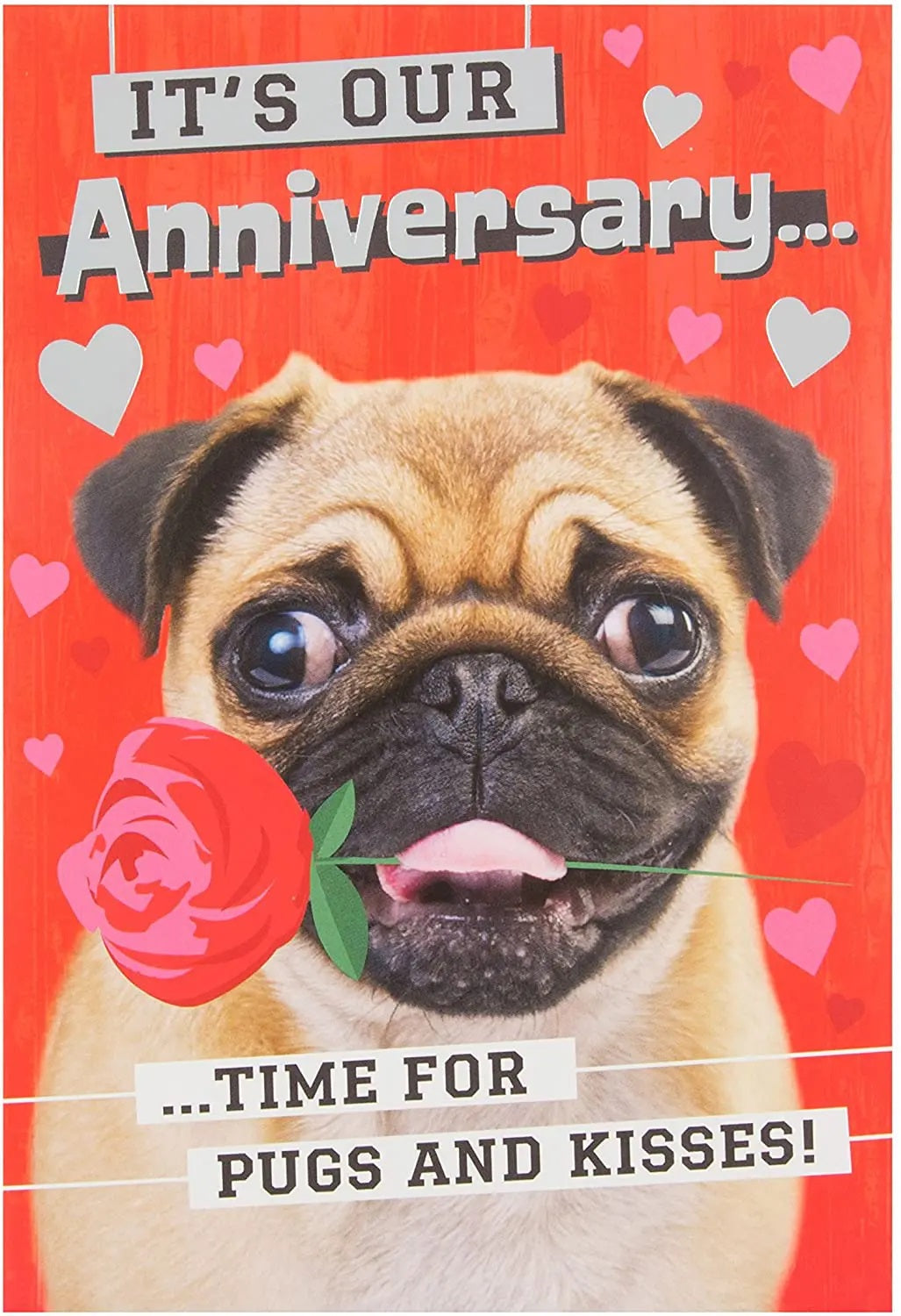 Our Anniversary Card - Pugsy with a Rose 