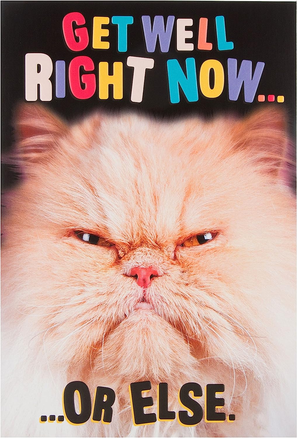 Humorous Get Well Soon Card This Cat Means Business Or Else