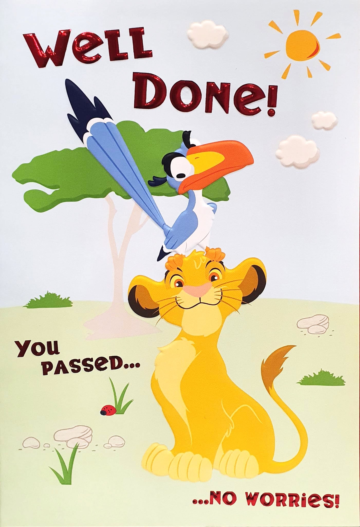 Well Done Exam Card - The Lion King