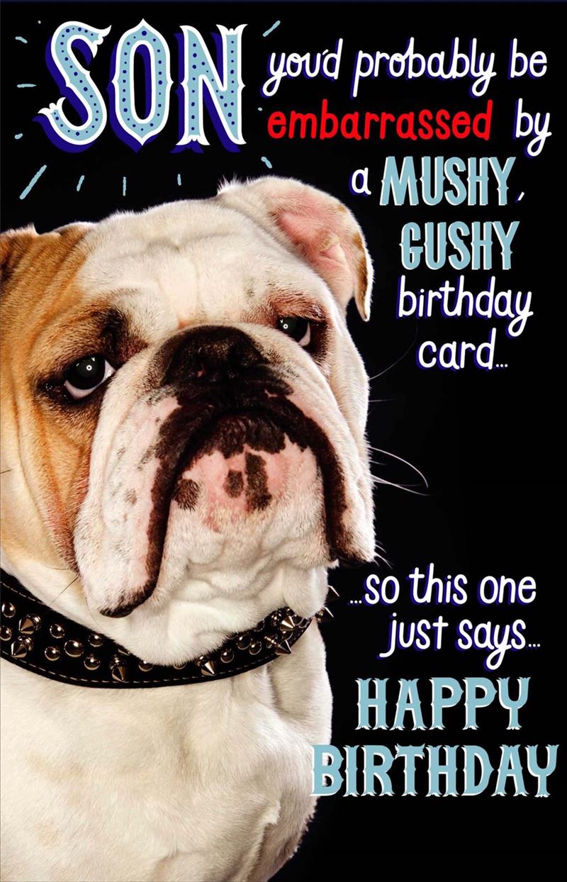 Pop Up Son Birthday Card - English Bull Dog