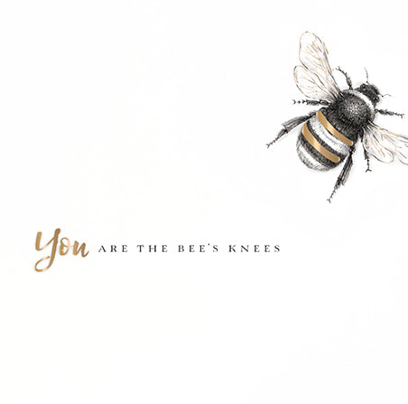 Blank Card - You are The Bee's Knees