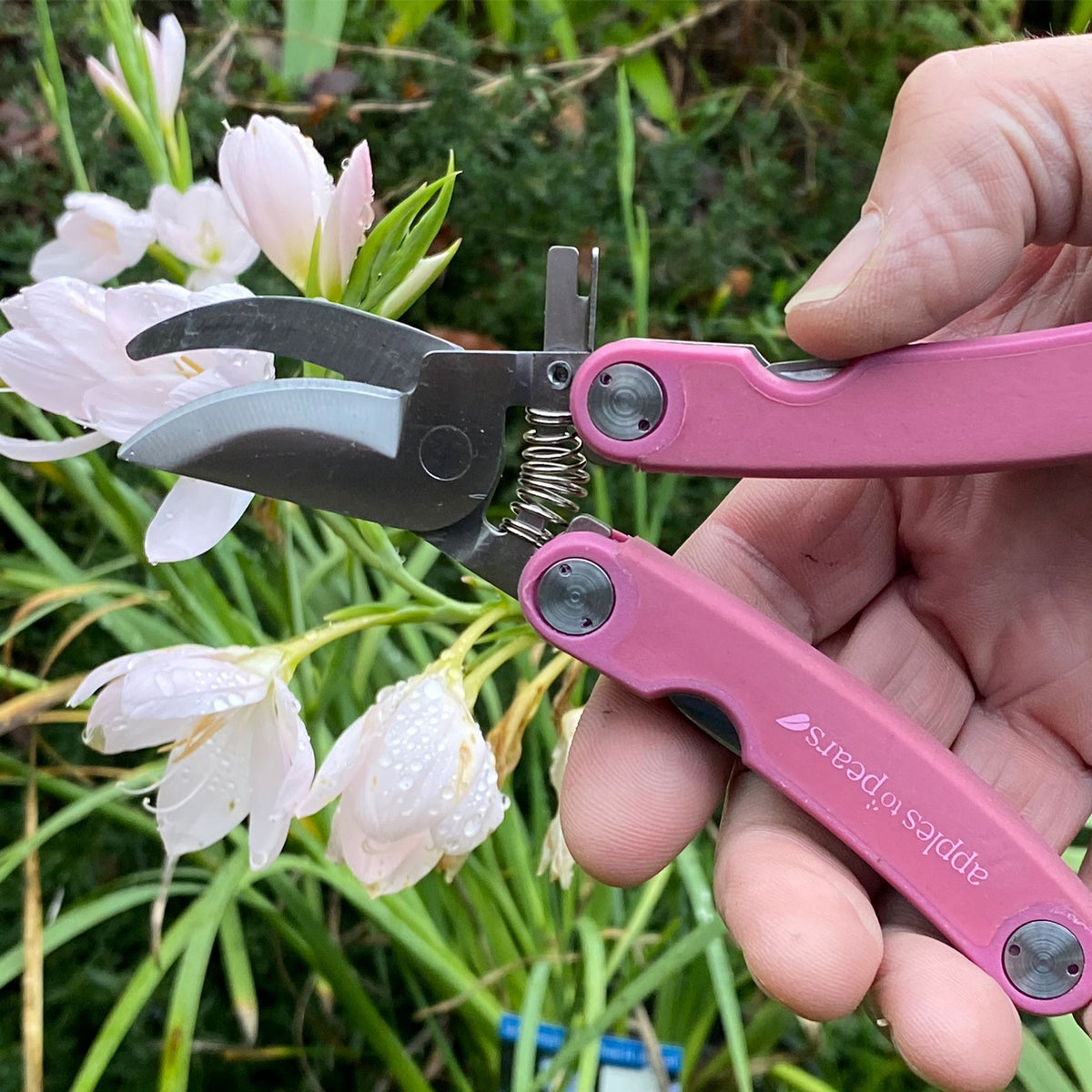Apples To Pears Original Folding Pocket Secateurs - Fushia Pink
