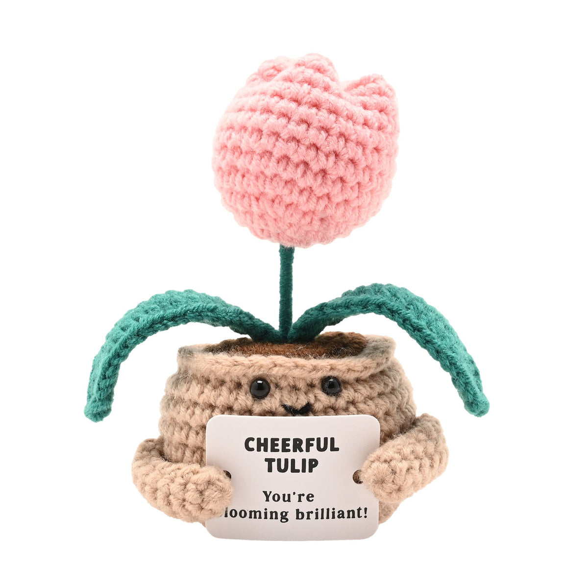 Apples To Pears Positivity Crochet Set - Tulip