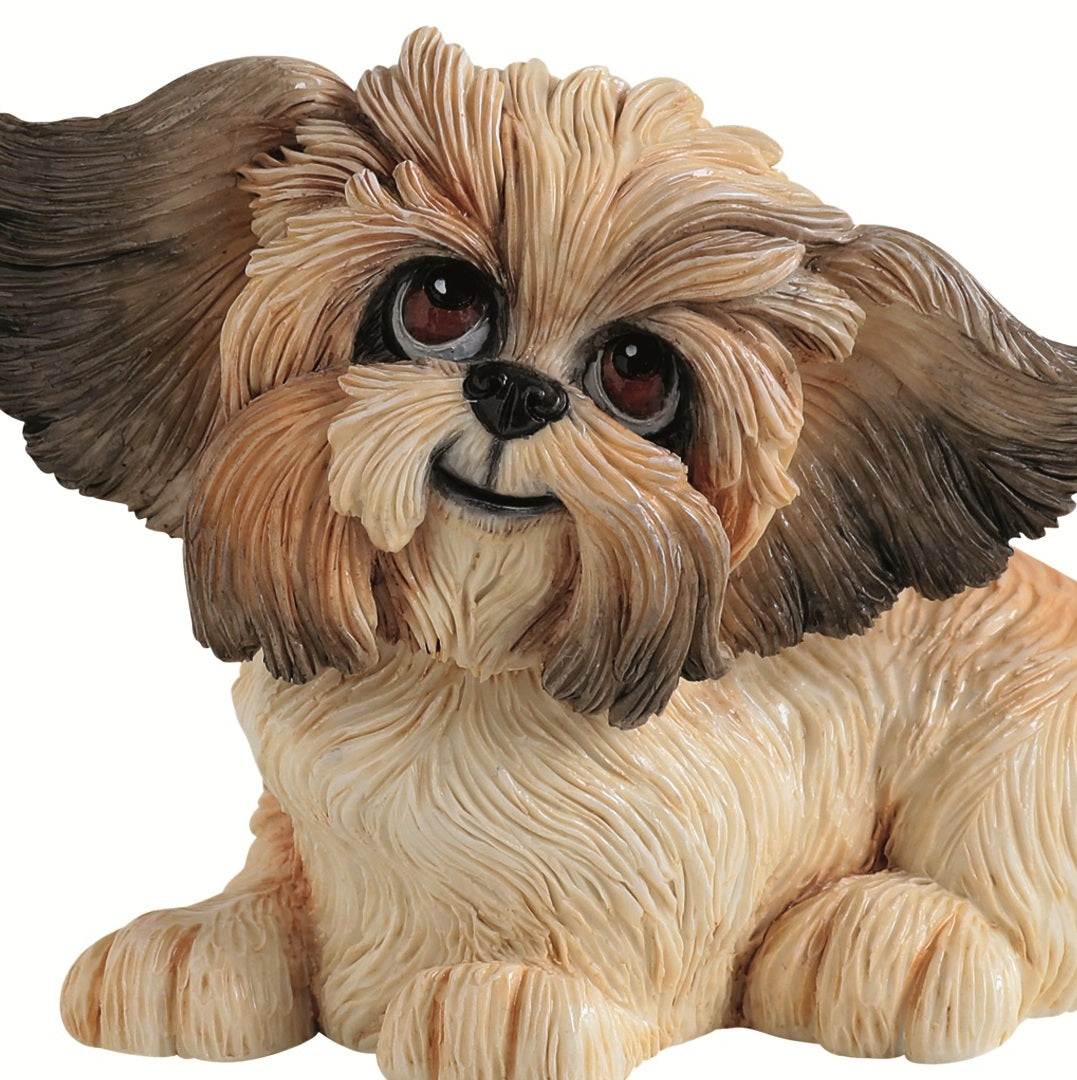Little Paws Gizmo