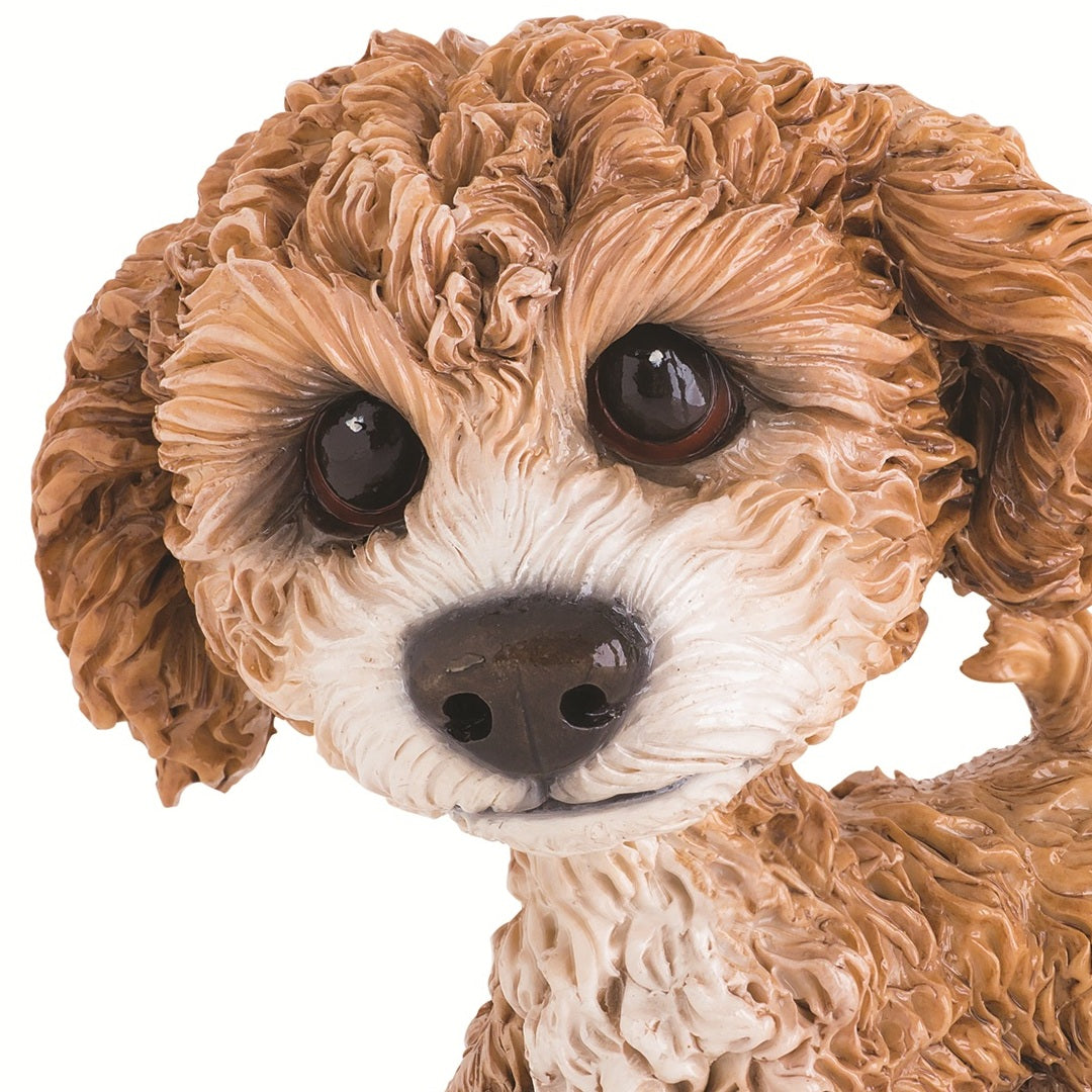Little Paws Molly Cavachon Figurine