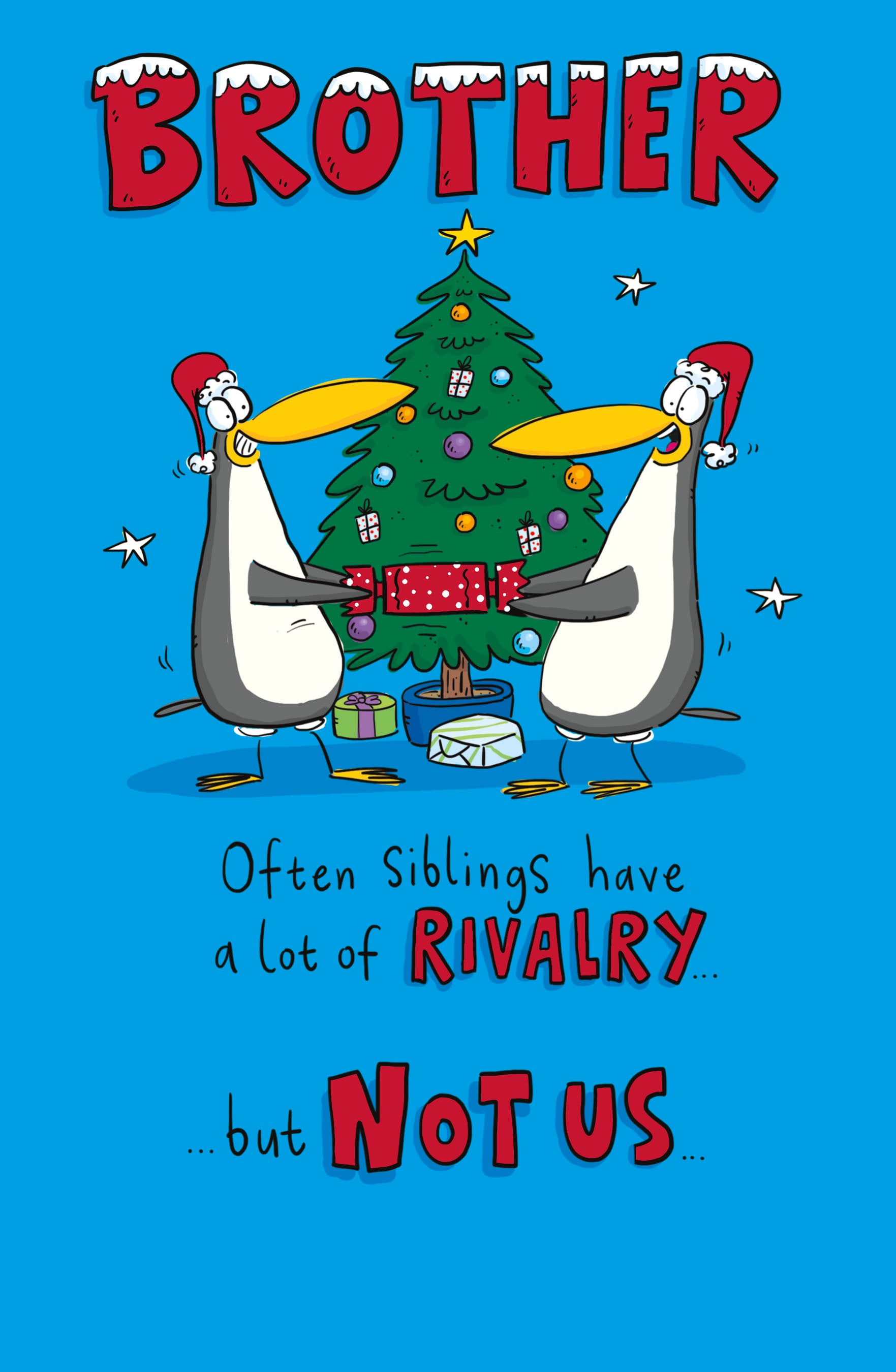 Brother Christmas Card - Battling for the Christmas Cracker