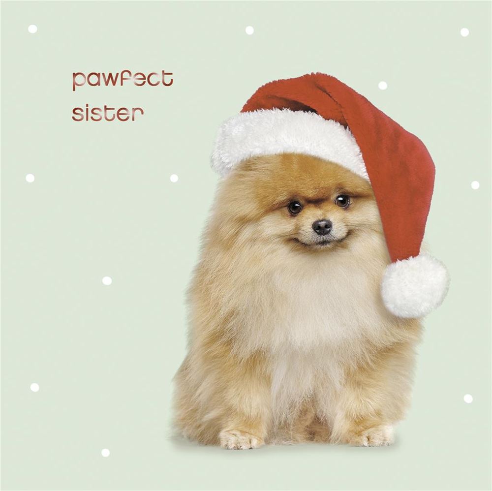 Pawfect Sister Christmas Card