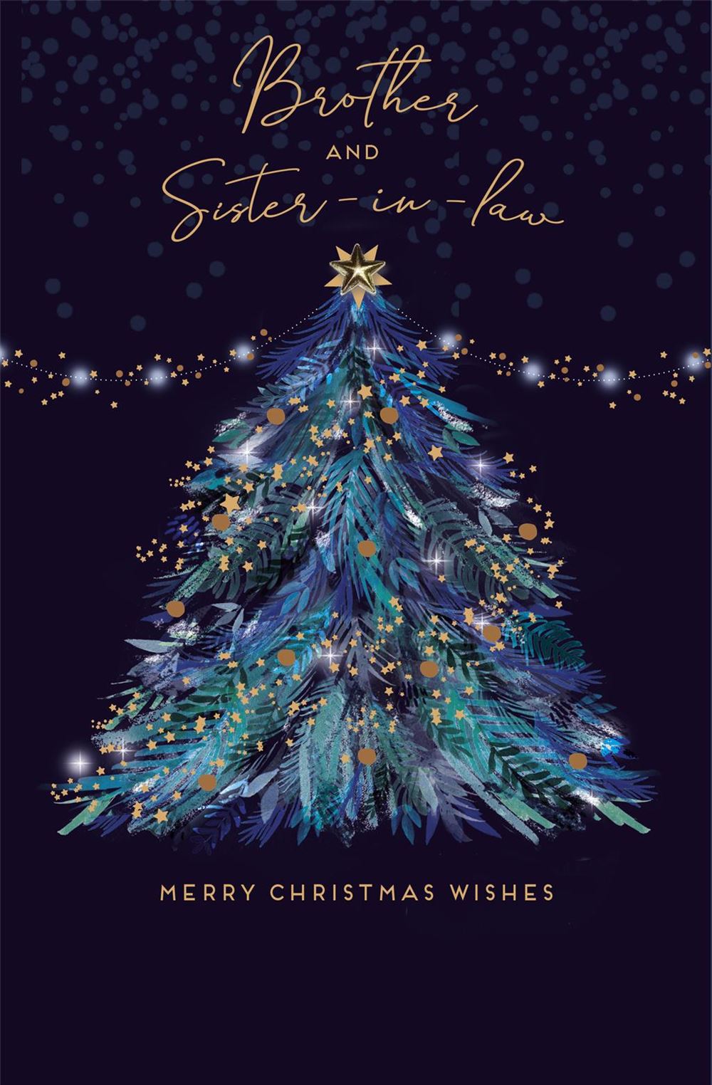 Brother & Sister In Law Merry Christmas Card