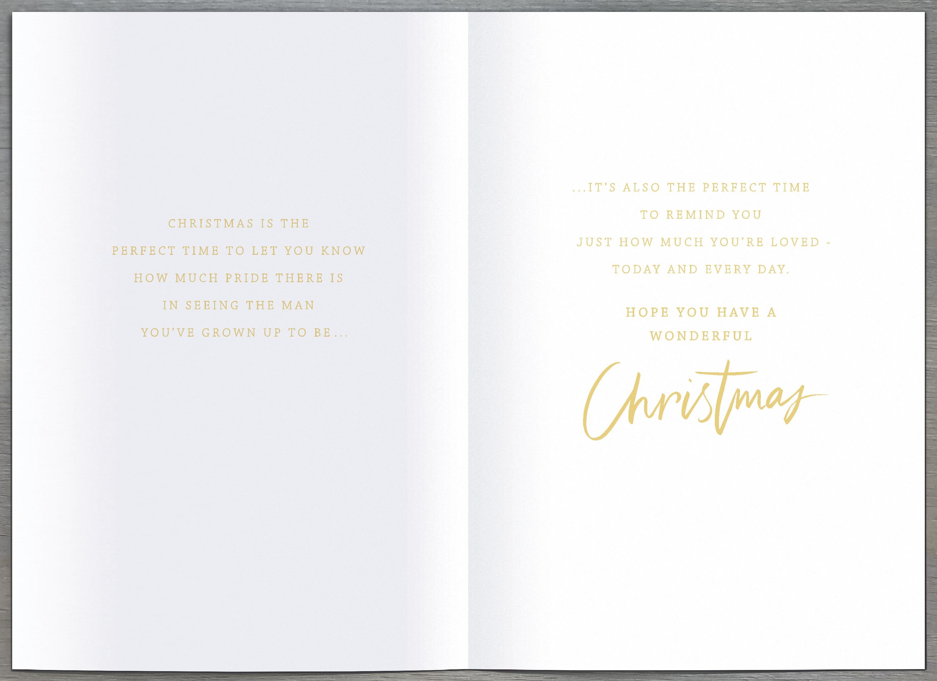 Son Christmas Card - Winter Scene in a Park