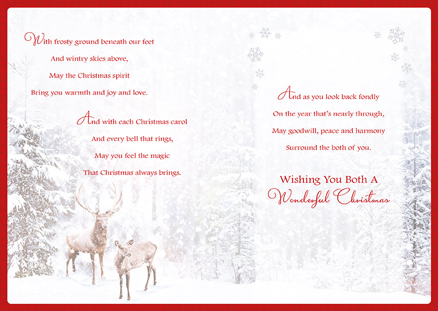 Both Of You Wishing You A Very Christmas Card