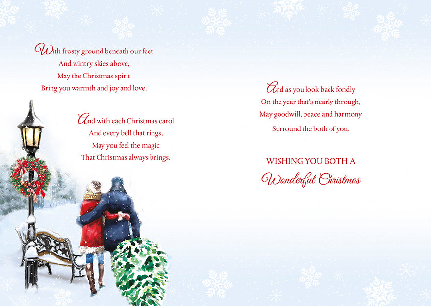 For a Special Couple Have a Wonderful Christmas Card